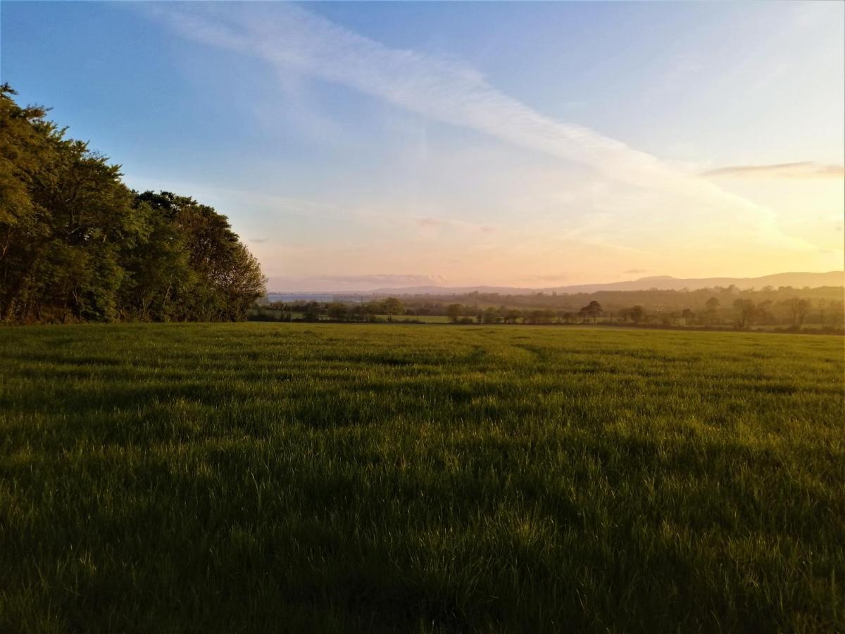 Moneylands Farm B&B Arklow Exteriör bild