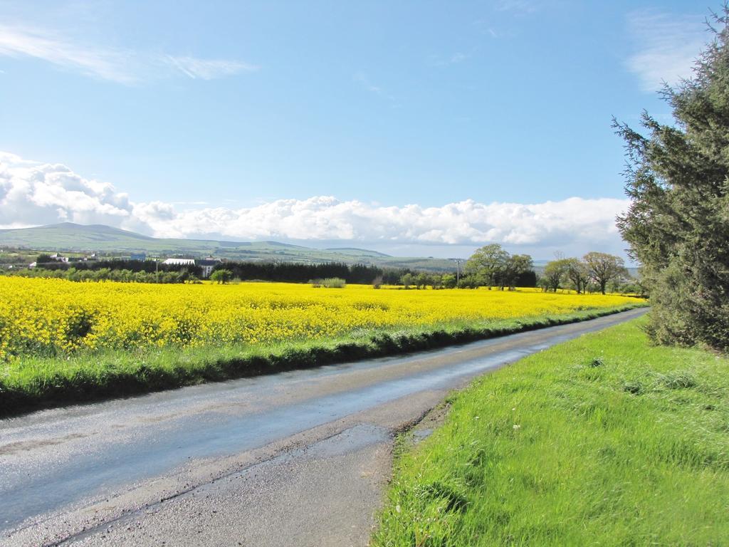 Moneylands Farm B&B Arklow Rum bild